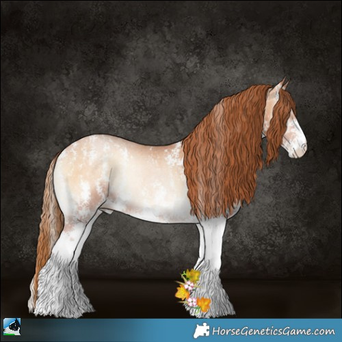 Horse Color:Bay Pearl Onyx Sabino Rabicano 