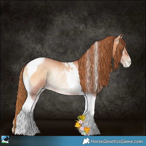 Horse Color:Bay Pearl Onyx Tobiano Rabicano 