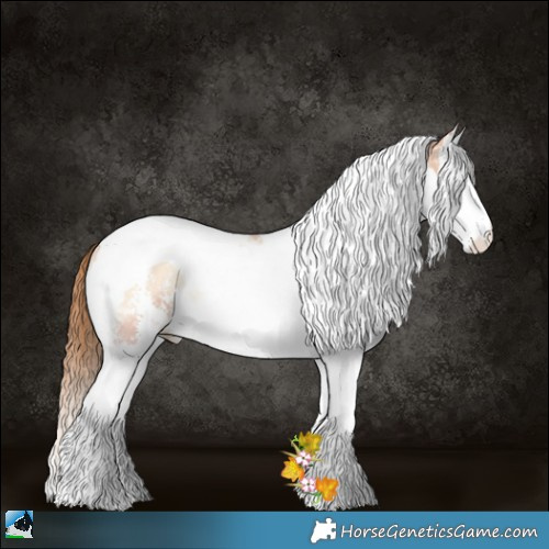 Horse Color:Bay Pearl Onyx Mushroom Sabino Splash Tobiano Rabicano 