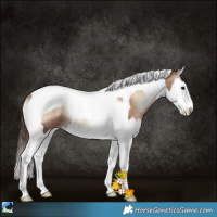 Horse Color:Brown Pearl Onyx Mushroom Splash Tobiano Rabicano 