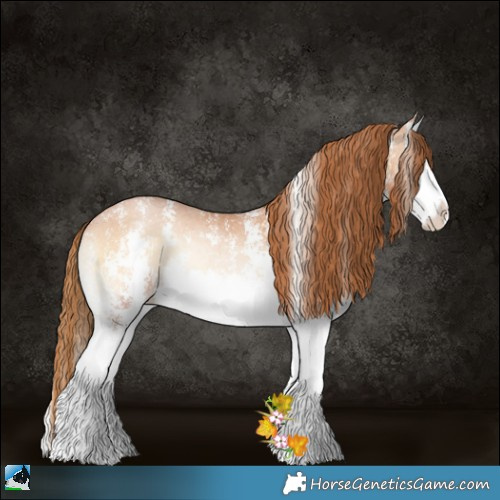 Horse Color:Bay Pearl Onyx Sabino Splash Rabicano 