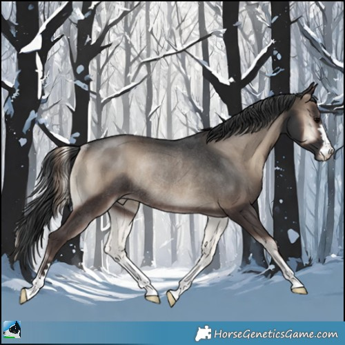 Horse Color:Blue Onyx Rabicano 