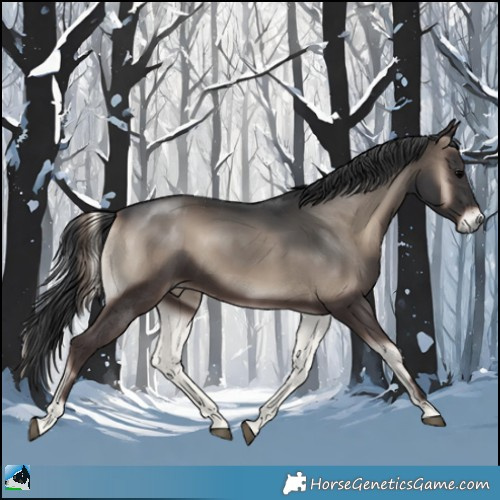Horse Color:Blue Onyx Rabicano 