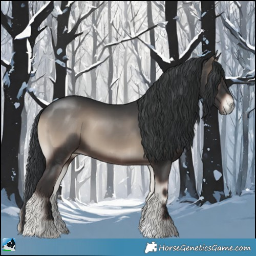 Horse Color:Blue Onyx Sabino Rabicano 