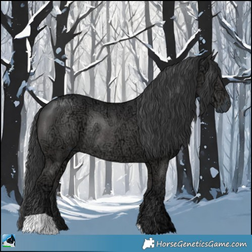 Horse Color:Black Ice Rabicano 