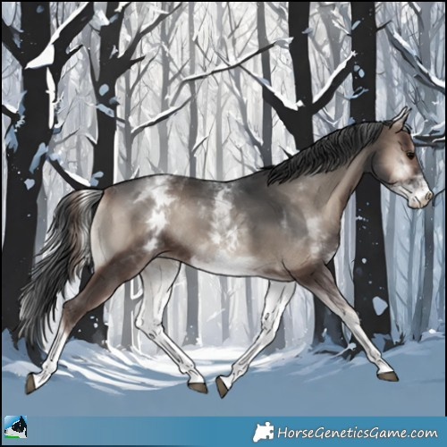 Horse Color:White Spotted Blue Onyx Mushroom Rabicano 
