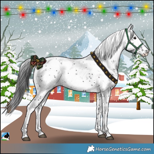 Horse Color:Midnight Black Sabino 