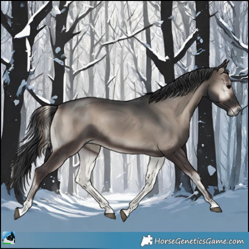 Horse Color:Blue Onyx Mushroom Rabicano 