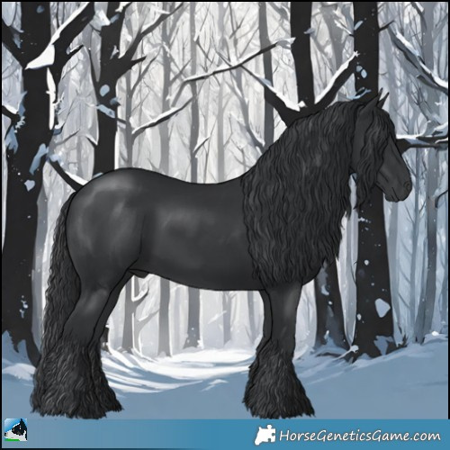 Horse Color:Black Rabicano 