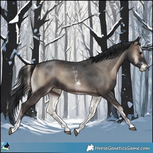 Horse Color:Blue Onyx Sabino 