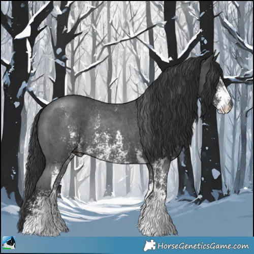 Horse Color:Black Sabino Rabicano 