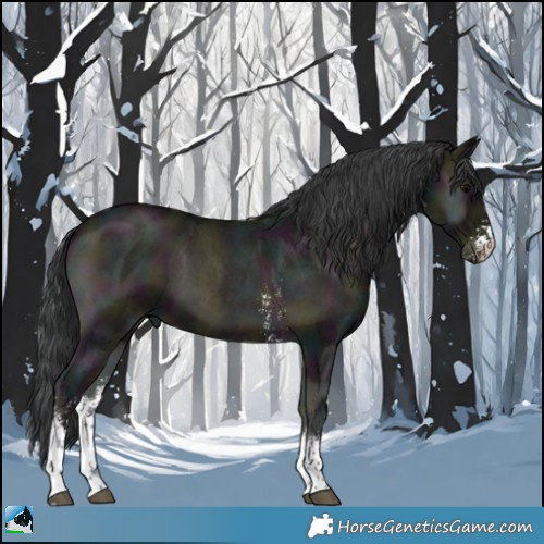 Horse Color:Midnight Blue Onyx Mushroom Sabino 