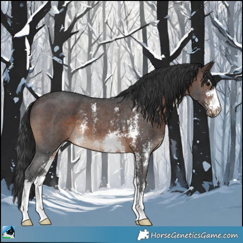 Horse Color:Brown Sabino 