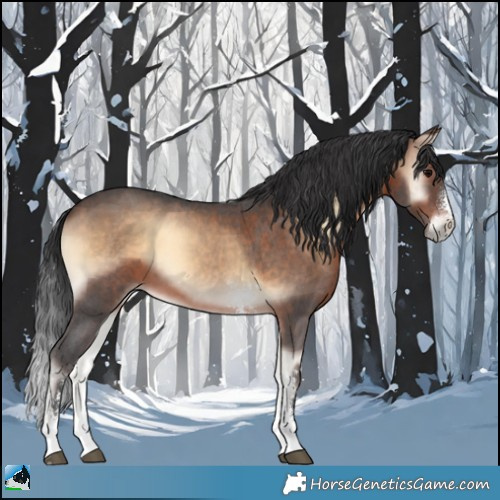 Horse Color:Brown Onyx Sabino 