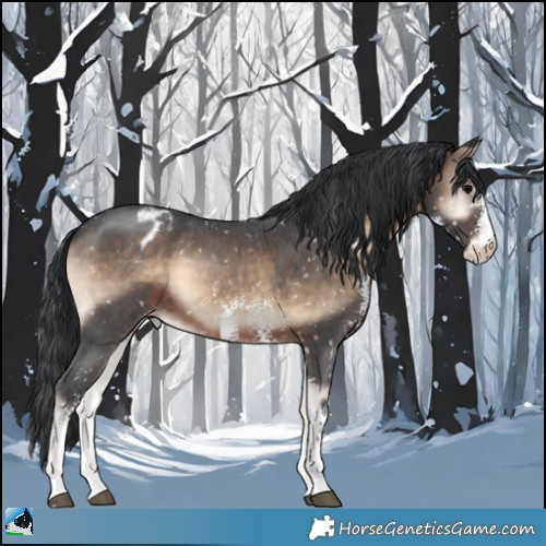 Horse Color:Brown Onyx Sabino Appaloosa 