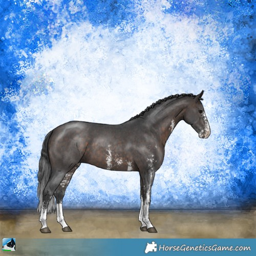Horse Color:Brown Sabino 