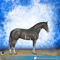 Horse Color:Brown Sabino