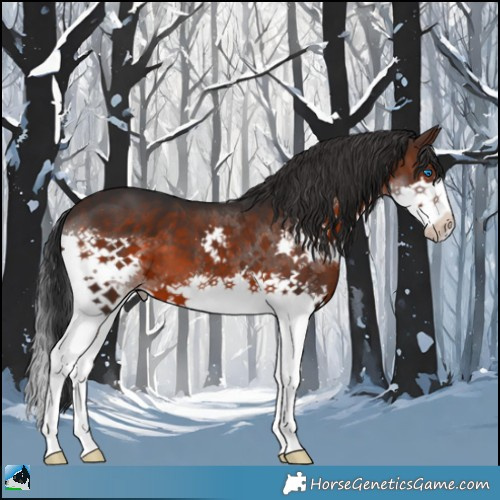 Horse Color:Brown Splash 