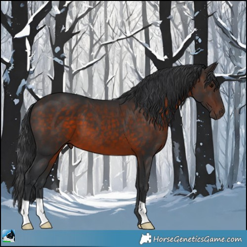 Horse Color:Brown 