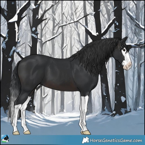 Horse Color:Brown Splash 