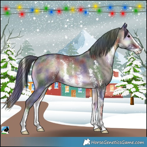 Horse Color:Nacre Brown Onyx Sabino 