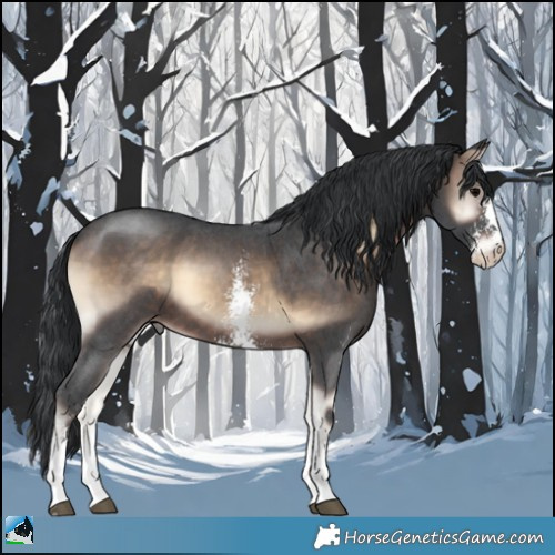 Horse Color:Brown Onyx Sabino 