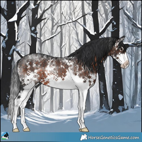 Horse Color:Brown Sabino Splash Rabicano 