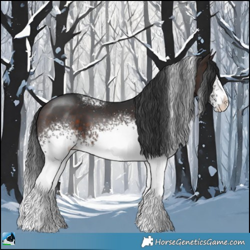 Horse Color:White Spotted Brown 