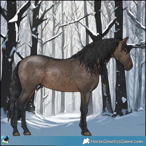 Horse Color:Brown Dun 