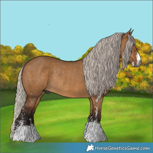 Horse Color:Gray Silver Bay Dun Sabino Rabicano 