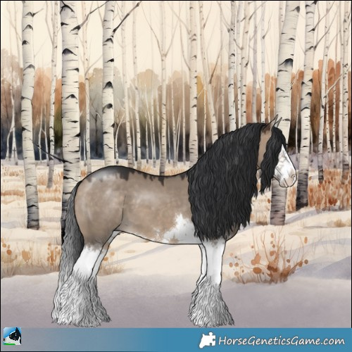 Horse Color:Bay Dun Sabino Splash 
