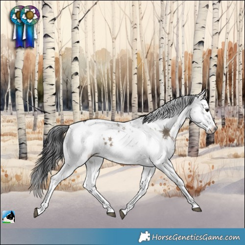 Horse Color:Brown Dun Sabino Rabicano 