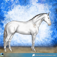 Horse Color:Grullo Pearl Onyx Mushroom Sabino Rabicano Brindle 