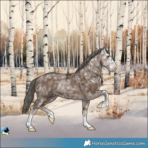 Horse Color:Liver Red Dun Ice Mushroom Sabino Rabicano Brindle 