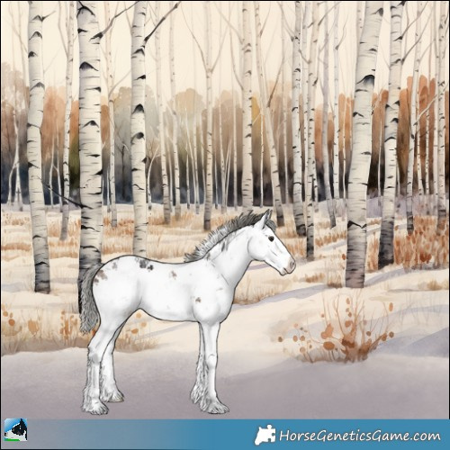 Horse Color:Liver Red Dun Ice Mushroom Sabino 