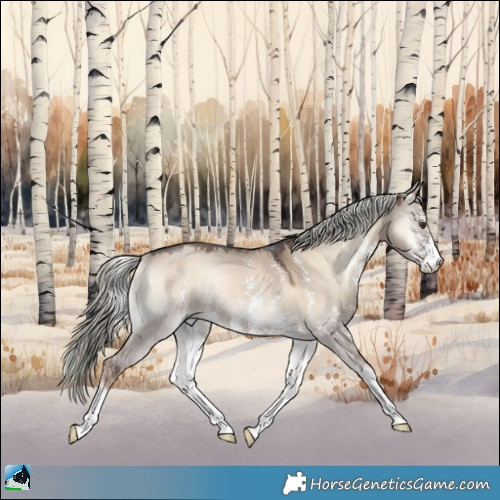 Horse Color:Liver Red Dun Onyx Mushroom Sabino Rabicano 