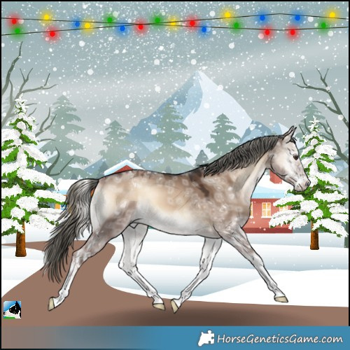 Horse Color:Liver Red Dun Ice Onyx Mushroom Sabino 