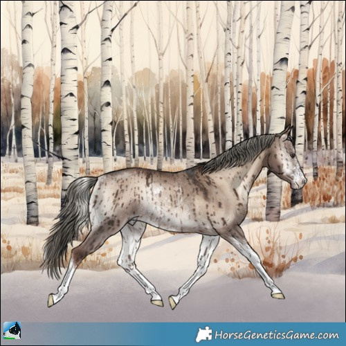 Horse Color:Liver Red Dun Onyx Mushroom Sabino Rabicano Brindle 