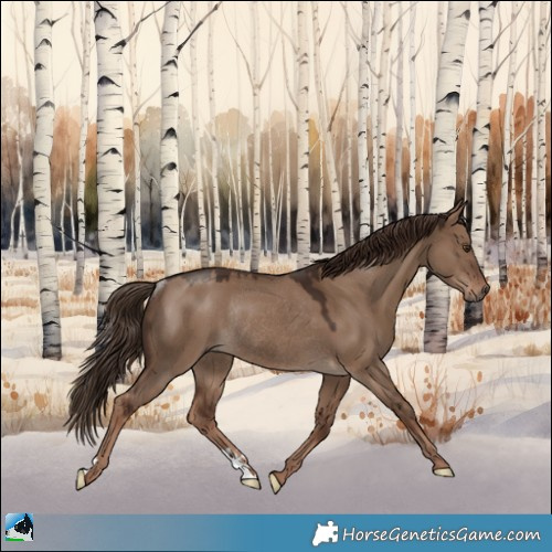 Horse Color:Liver Red Dun Rabicano 