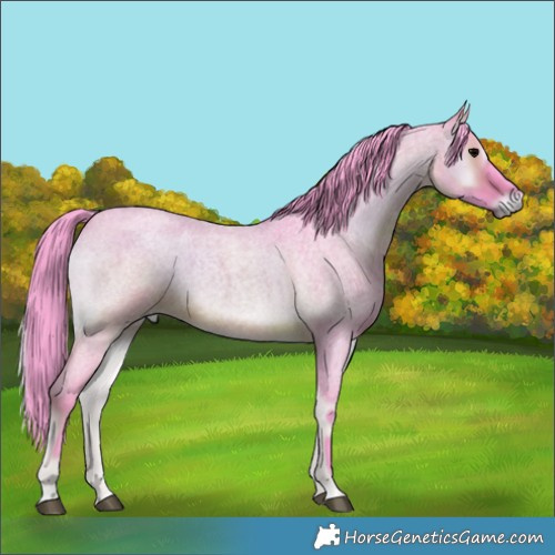 Horse Color:Watercolor Brown Roan Onyx 