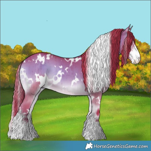 Horse Color:Watercolor White Spotted Red Dun Onyx Sabino Brindle 