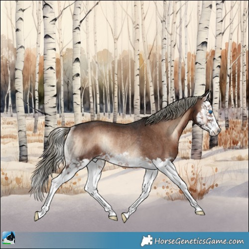 Horse Color:Liver Red Onyx Mushroom Splash Rabicano Brindle 