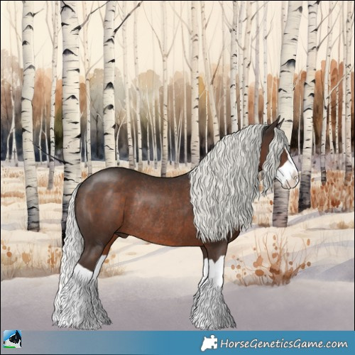 Horse Color:Liver Chestnut Mushroom Splash Rabicano 