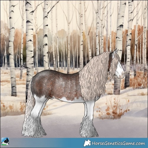 Horse Color:Liver Chestnut Mushroom Splash Rabicano 