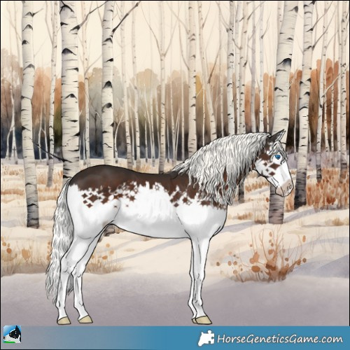 Horse Color:Liver Chestnut Mushroom Splash 