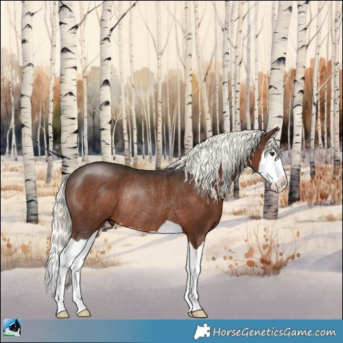 Horse Color:Liver Chestnut Mushroom Splash Rabicano 