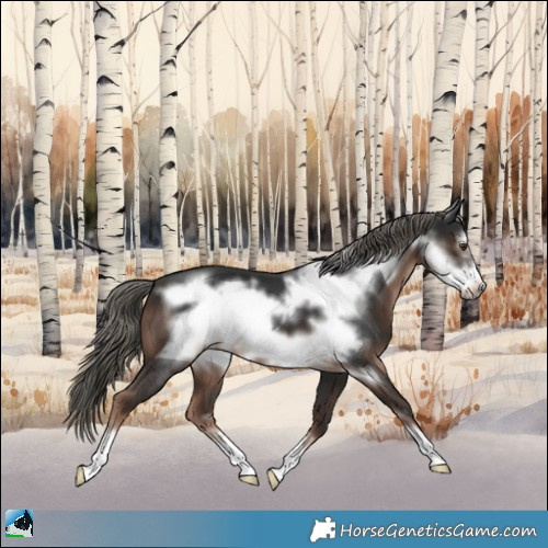 Horse Color:Liver Chestnut Mushroom Frame 