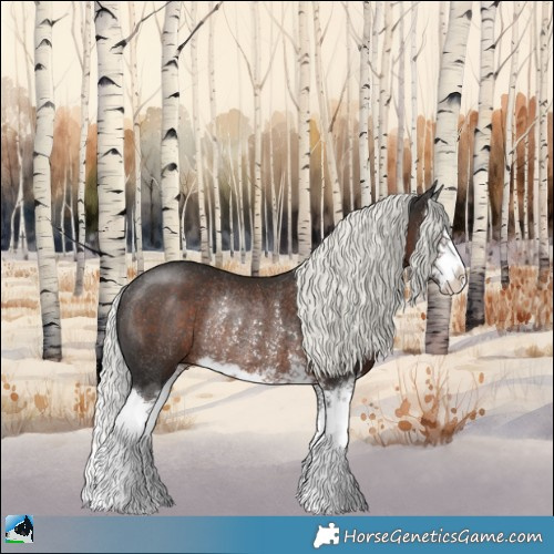 Horse Color:Liver Chestnut Mushroom Splash Rabicano 