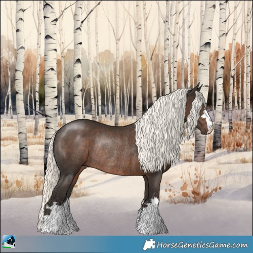 Horse Color:Liver Chestnut Mushroom Rabicano 