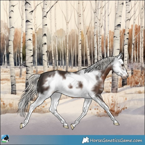 Horse Color:Liver Chestnut Mushroom Sabino Splash Frame 